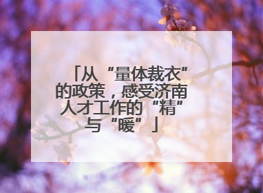 从“量体裁衣”的政策，感受济南人才工作的“精”与“暖”