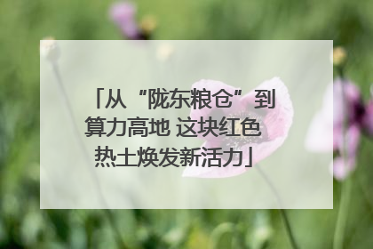 从“陇东粮仓”到算力高地 这块红色热土焕发新活力