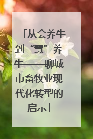 从会养牛到“慧”养牛——聊城市畜牧业现代化转型的启示