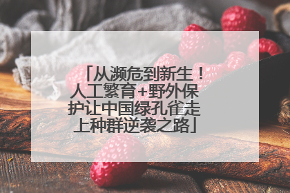 从濒危到新生！人工繁育+野外保护让中国绿孔雀走上种群逆袭之路
