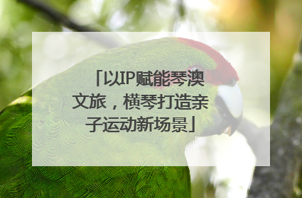 以IP赋能琴澳文旅，横琴打造亲子运动新场景