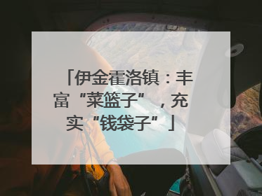 伊金霍洛镇：丰富“菜篮子”，充实“钱袋子”