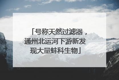 号称天然过滤器，通州北运河下游新发现大量蚌科生物