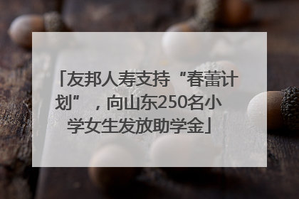友邦人寿支持“春蕾计划”，向山东250名小学女生发放助学金