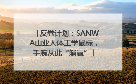 反卷计划：SANWA山业人体工学鼠标，手腕从此“躺赢”