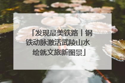 发现最美铁路丨钢铁动脉激活武陵山水 绘就文旅新图景
