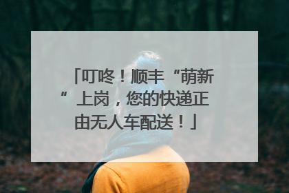 叮咚！顺丰“萌新”上岗，您的快递正由无人车配送！