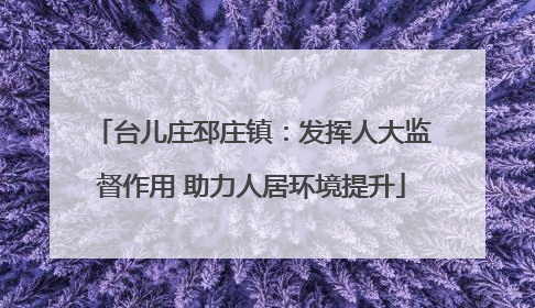 台儿庄邳庄镇：发挥人大监督作用 助力人居环境提升