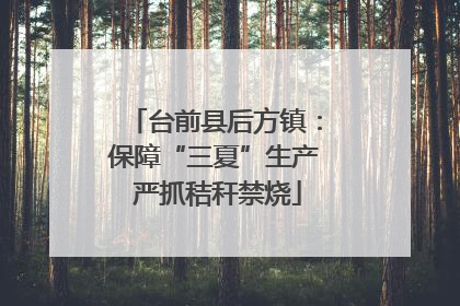 台前县后方镇：保障“三夏”生产 严抓秸秆禁烧