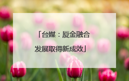 台媒：厦金融合发展取得新成效