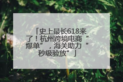 史上最长618来了！杭州跨境电商“爆单”，海关助力“秒级验放”