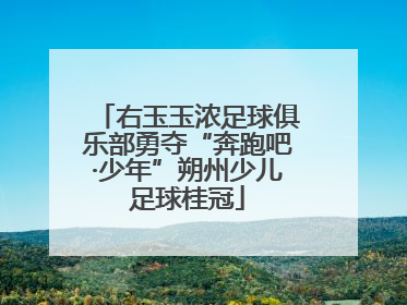 右玉玉浓足球俱乐部勇夺“奔跑吧·少年”朔州少儿足球桂冠