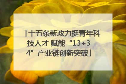 十五条新政力挺青年科技人才 赋能“13+34”产业链创新突破