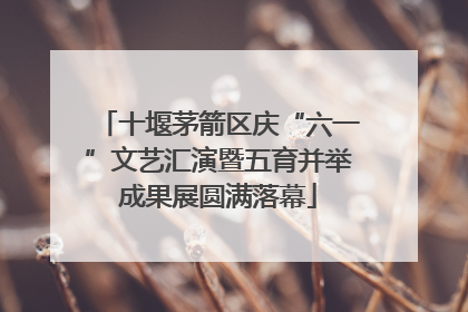 十堰茅箭区庆“六一”文艺汇演暨五育并举成果展圆满落幕