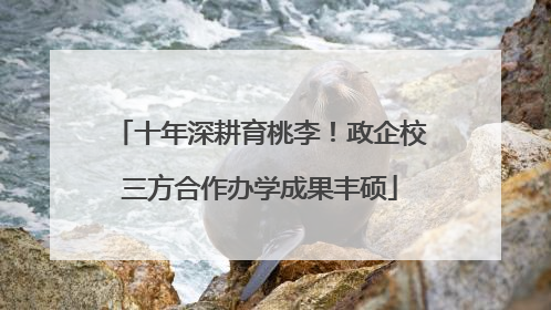 十年深耕育桃李！政企校三方合作办学成果丰硕