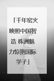 千年窑火映照中国智造 株洲魅力惊艳国际学子
