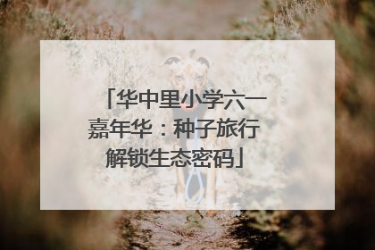 华中里小学六一嘉年华：种子旅行解锁生态密码