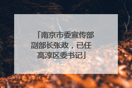 南京市委宣传部副部长张政，已任高淳区委书记
