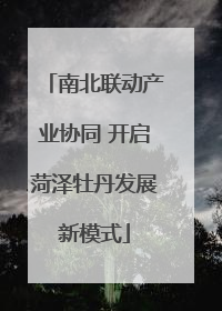 南北联动产业协同 开启菏泽牡丹发展新模式