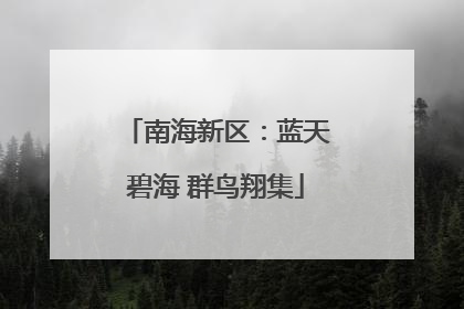 南海新区：蓝天碧海 群鸟翔集