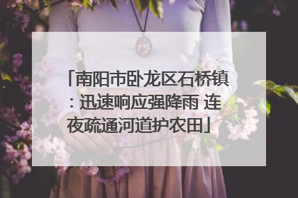 南阳市卧龙区石桥镇：迅速响应强降雨 连夜疏通河道护农田