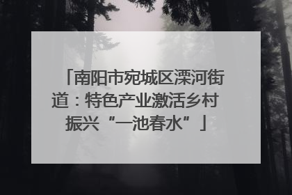 南阳市宛城区溧河街道：特色产业激活乡村振兴“一池春水”