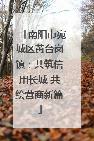 南阳市宛城区黄台岗镇：共筑信用长城 共绘营商新篇
