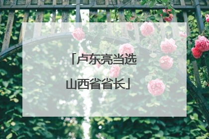 卢东亮当选山西省省长