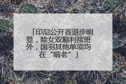 印尼公开赛退步明显，除女双顺利接班外，国羽其他单项均在“啃老”