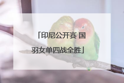 印尼公开赛 国羽女单四战全胜