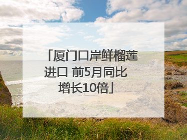 厦门口岸鲜榴莲进口 前5月同比增长10倍