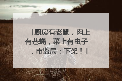 厨房有老鼠，肉上有苍蝇，菜上有虫子，市监局：下架！