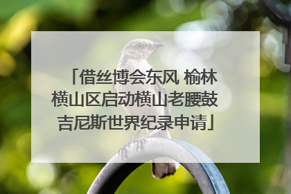 借丝博会东风 榆林横山区启动横山老腰鼓吉尼斯世界纪录申请