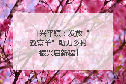 兴平镇：发放“致富羊”助力乡村振兴启新程