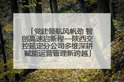 党建领航风帆劲 智创高速启新程—陕西交控延定分公司多维深耕赋能运营管理新跨越