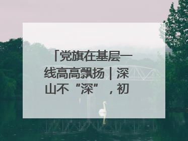 党旗在基层一线高高飘扬｜深山不“深”，初心很“红”