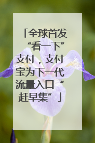 全球首发“看一下”支付，支付宝为下一代流量入口“赶早集”
