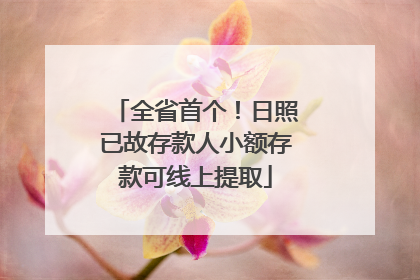 全省首个！日照已故存款人小额存款可线上提取