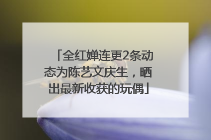 全红婵连更2条动态为陈艺文庆生，晒出最新收获的玩偶