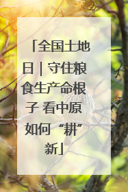 全国土地日｜守住粮食生产命根子 看中原如何“耕”新