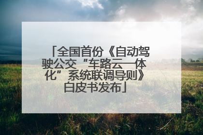 全国首份《自动驾驶公交“车路云一体化”系统联调导则》白皮书发布