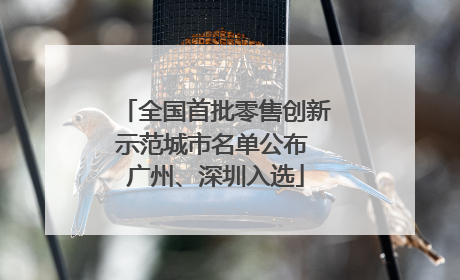 全国首批零售创新示范城市名单公布 广州、深圳入选