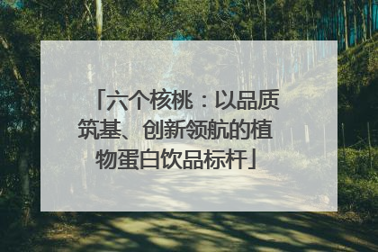 六个核桃：以品质筑基、创新领航的植物蛋白饮品标杆