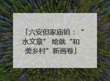 六安但家庙镇：“水文章” 绘就“和美乡村”新画卷