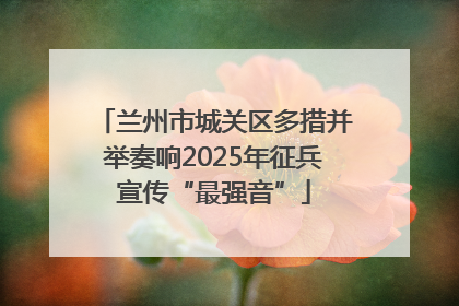 兰州市城关区多措并举奏响2025年征兵宣传“最强音”