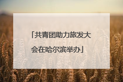 共青团助力旅发大会在哈尔滨举办