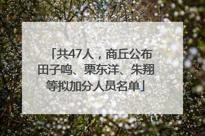 共47人，商丘公布田子鸣、栗东洋、朱翔等拟加分人员名单