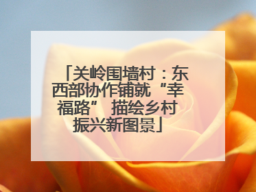 关岭围墙村：东西部协作铺就“幸福路” 描绘乡村振兴新图景