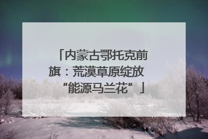 内蒙古鄂托克前旗：荒漠草原绽放“能源马兰花”