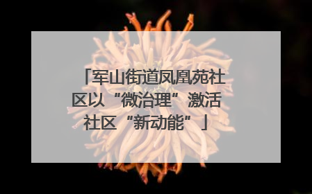 军山街道凤凰苑社区以“微治理”激活社区“新动能”